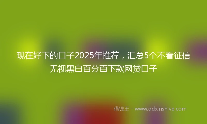 现在好下的口子2025年推荐，汇总5个不看征信无视黑白百分百下款网贷口子