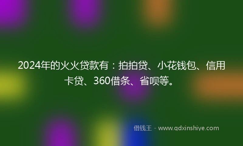 2024年的火火贷款有：拍拍贷、小花钱包、信用卡贷、360借条、省呗等。