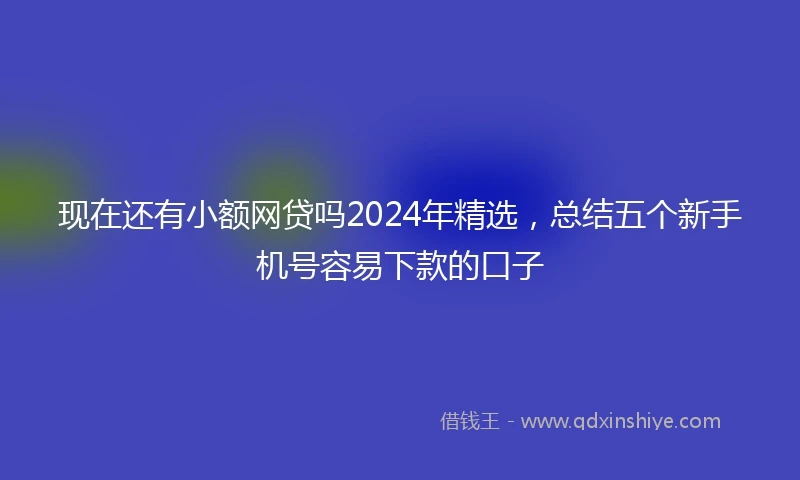 现在还有小额网贷吗2024年精选，总结五个新手机号容易下款的口子