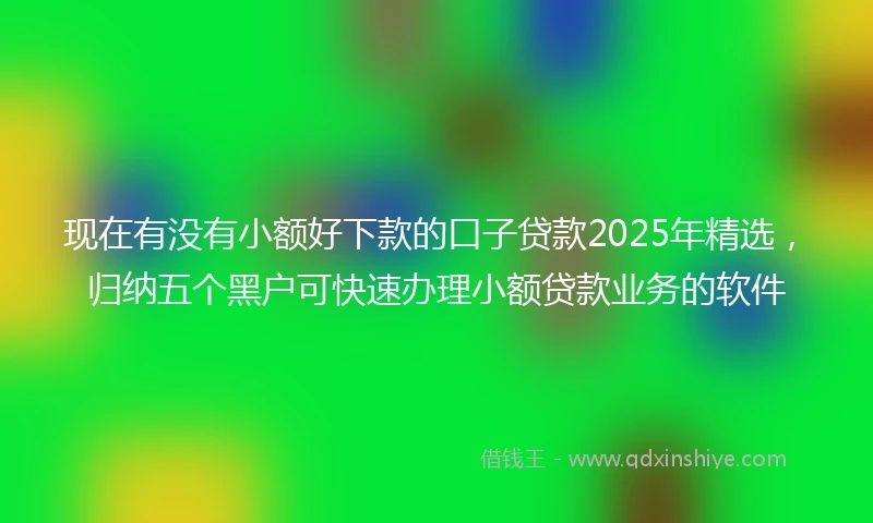 现在有没有小额好下款的口子贷款2025年精选，归纳五个黑户可快速办理小额贷款业务的软件