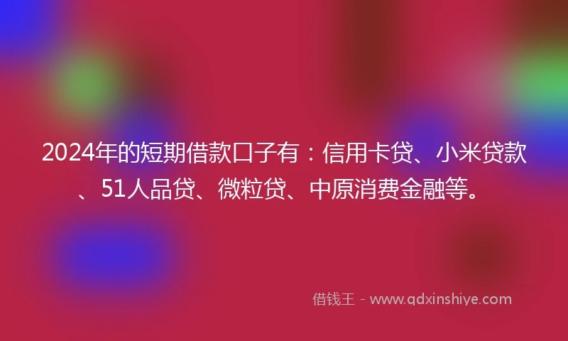 2024年的短期借款口子有：信用卡贷、小米贷款、51人品贷、微粒贷、中原消费金融等。