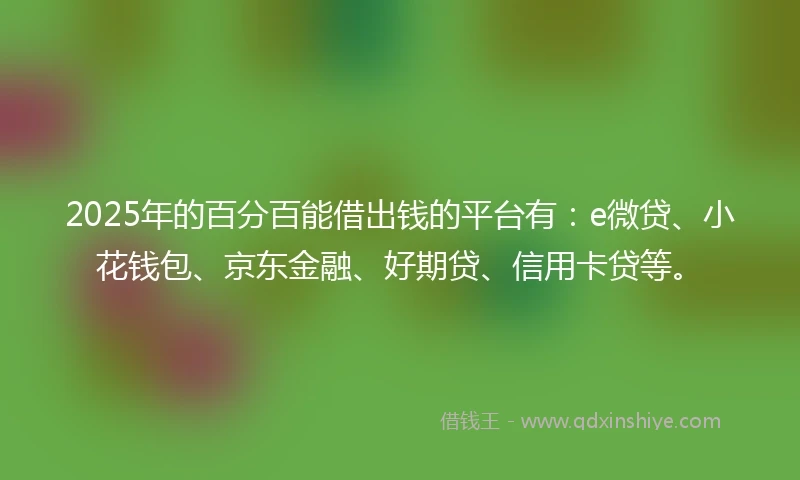2025年的百分百能借出钱的平台有：e微贷、小花钱包、京东金融、好期贷、信用卡贷等。