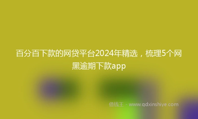 百分百下款的网贷平台2024年精选，梳理5个网黑逾期下款app