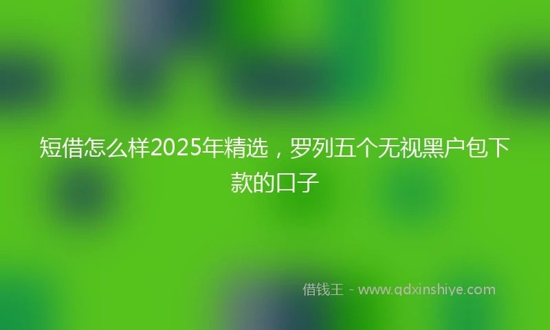 短借怎么样2025年精选，罗列五个无视黑户包下款的口子