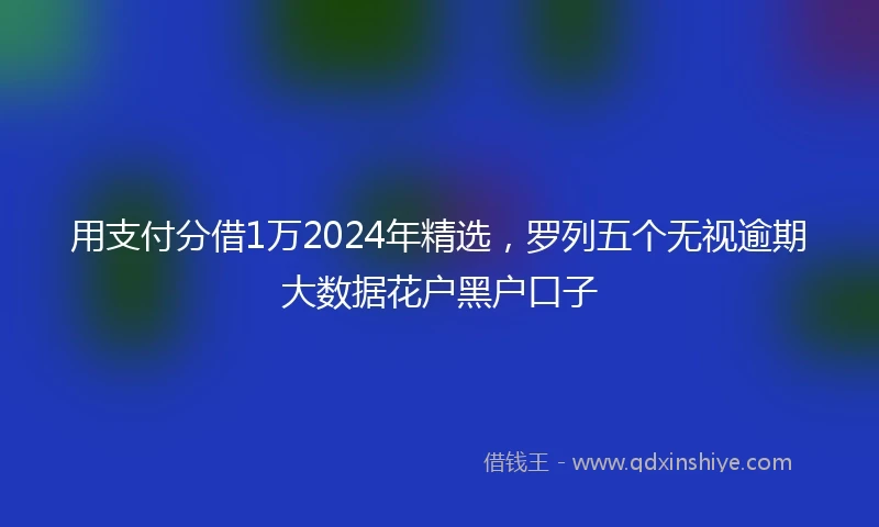 用支付分借1万2024年精选，罗列五个无视逾期大数据花户黑户口子