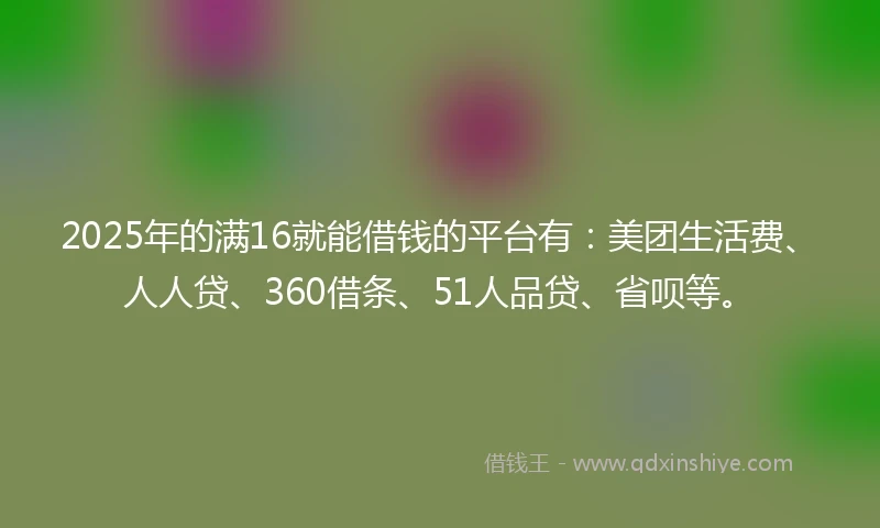 2025年的满16就能借钱的平台有：美团生活费、人人贷、360借条、51人品贷、省呗等。