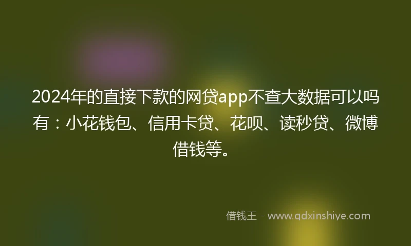 2024年的直接下款的网贷app不查大数据可以吗有：小花钱包、信用卡贷、花呗、读秒贷、微博借钱等。