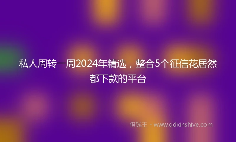 私人周转一周2024年精选，整合5个征信花居然都下款的平台
