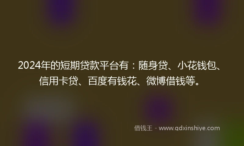 2024年的短期贷款平台有：随身贷、小花钱包、信用卡贷、百度有钱花、微博借钱等。