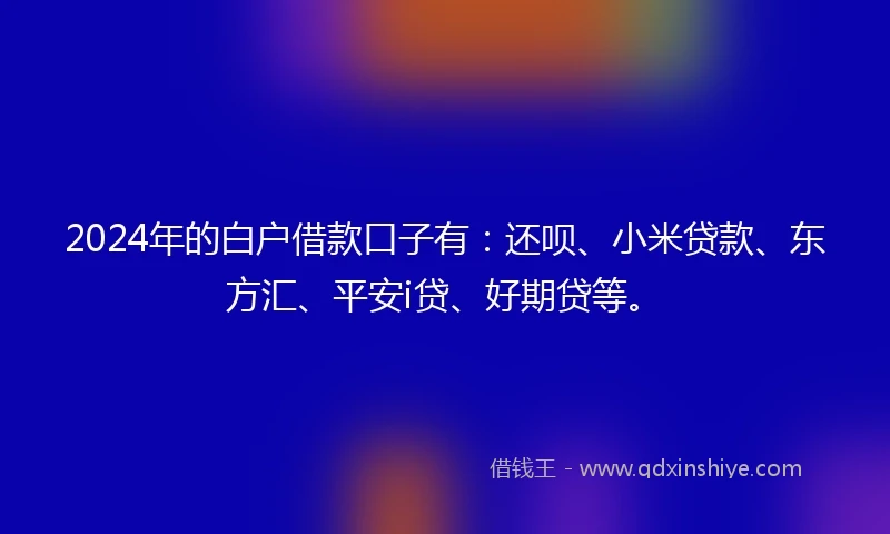 2024年的白户借款口子有：还呗、小米贷款、东方汇、平安i贷、好期贷等。