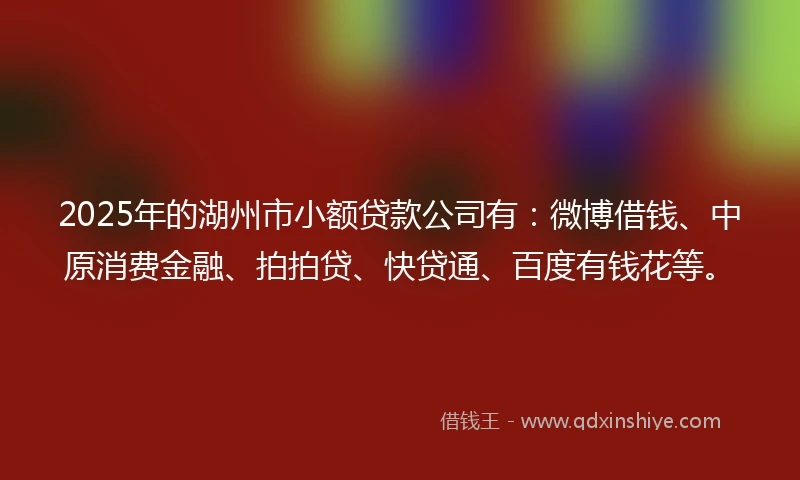2025年的湖州市小额贷款公司有：微博借钱、中原消费金融、拍拍贷、快贷通、百度有钱花等。