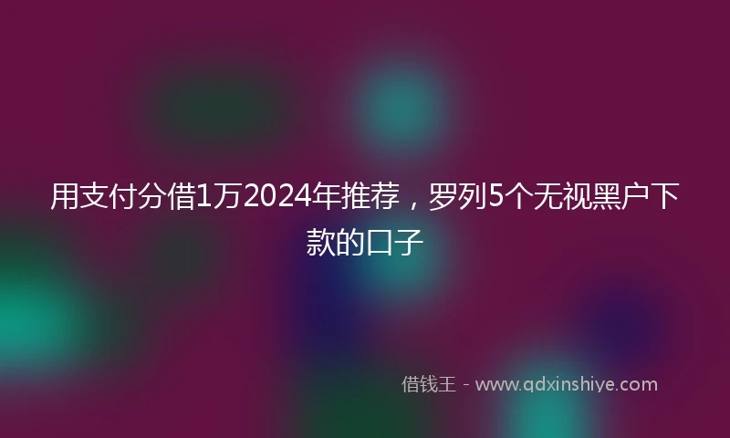 用支付分借1万2024年推荐，罗列5个无视黑户下款的口子