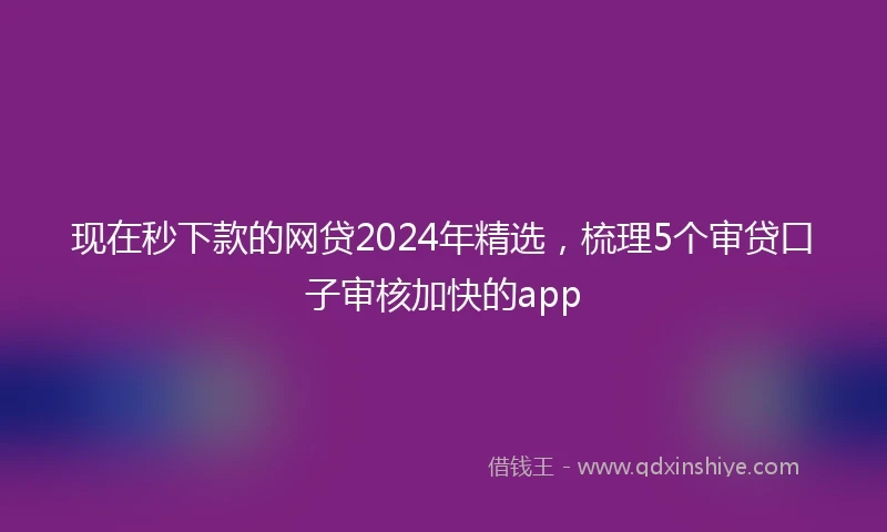 现在秒下款的网贷2024年精选，梳理5个审贷口子审核加快的app