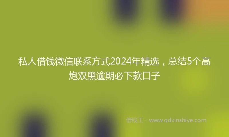 私人借钱微信联系方式2024年精选，总结5个高炮双黑逾期必下款口子