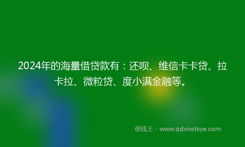 2024年的海量借贷款有：还呗、维信卡卡贷、拉卡拉、微粒贷、度小满金融等。
