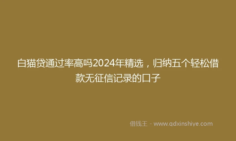 白猫贷通过率高吗2024年精选，归纳五个轻松借款无征信记录的口子