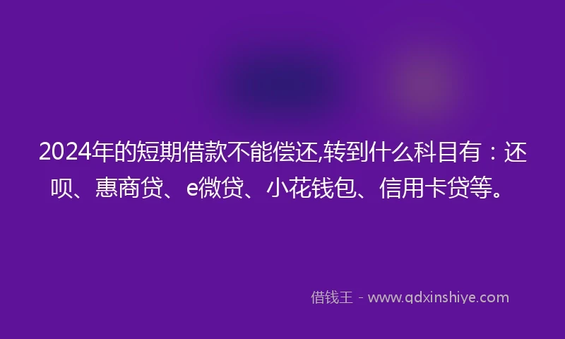 2024年的短期借款不能偿还,转到什么科目有：还呗、惠商贷、e微贷、小花钱包、信用卡贷等。