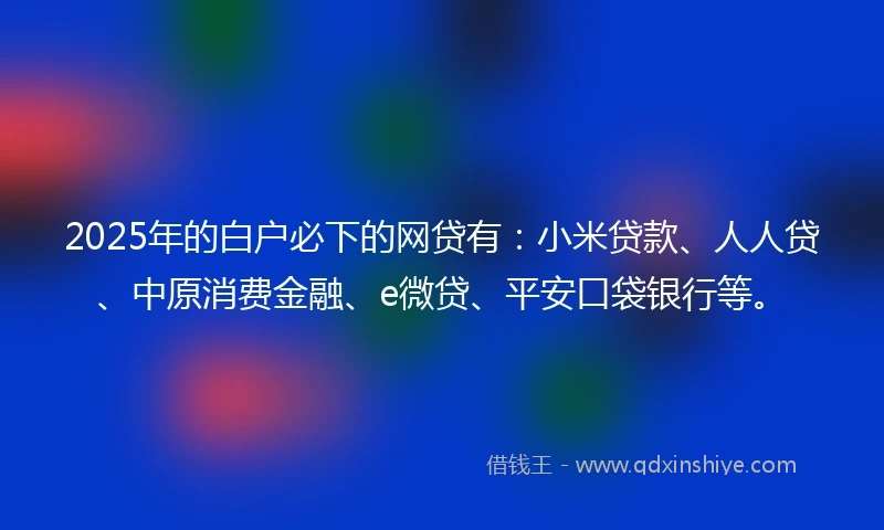 2025年的白户必下的网贷有：小米贷款、人人贷、中原消费金融、e微贷、平安口袋银行等。