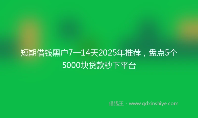 短期借钱黑户7一14天2025年推荐，盘点5个5000块贷款秒下平台