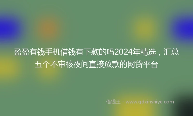 盈盈有钱手机借钱有下款的吗2024年精选，汇总五个不审核夜间直接放款的网贷平台