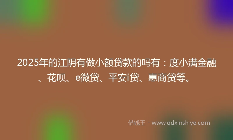 2025年的江阴有做小额贷款的吗有：度小满金融、花呗、e微贷、平安i贷、惠商贷等。