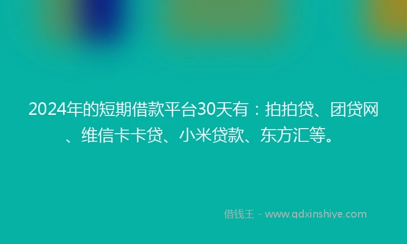 2024年的短期借款平台30天有：拍拍贷、团贷网、维信卡卡贷、小米贷款、东方汇等。