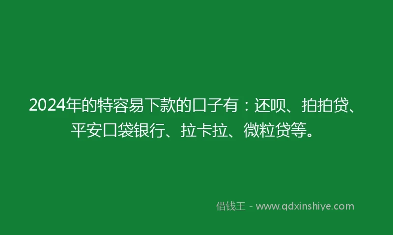 2024年的特容易下款的口子有：还呗、拍拍贷、平安口袋银行、拉卡拉、微粒贷等。