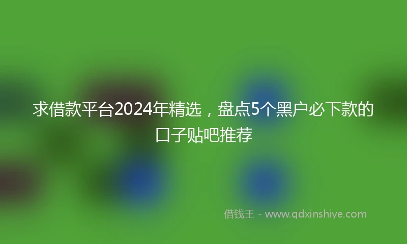 求借款平台2024年精选，盘点5个黑户必下款的口子贴吧推荐