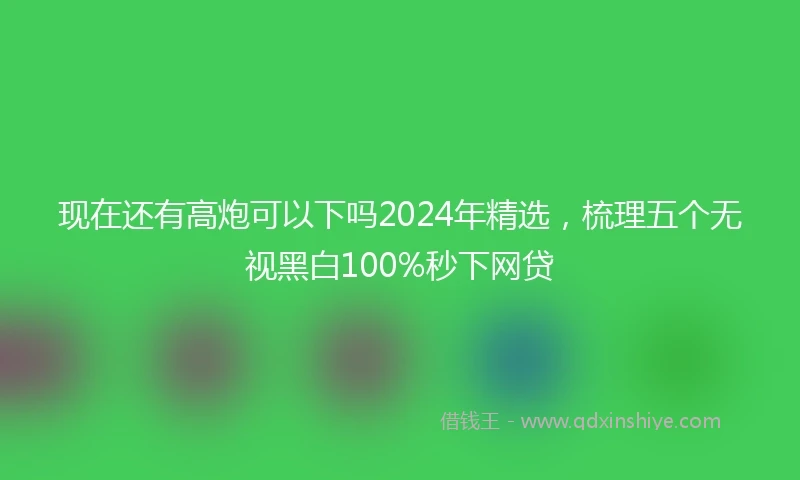 现在还有高炮可以下吗2024年精选，梳理五个无视黑白100%秒下网贷