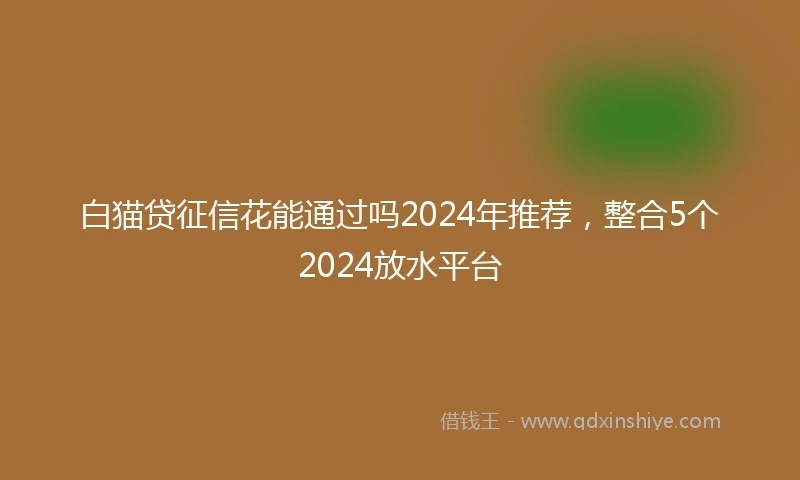 白猫贷征信花能通过吗2024年推荐，整合5个2024放水平台