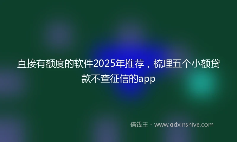 直接有额度的软件2025年推荐，梳理五个小额贷款不查征信的app