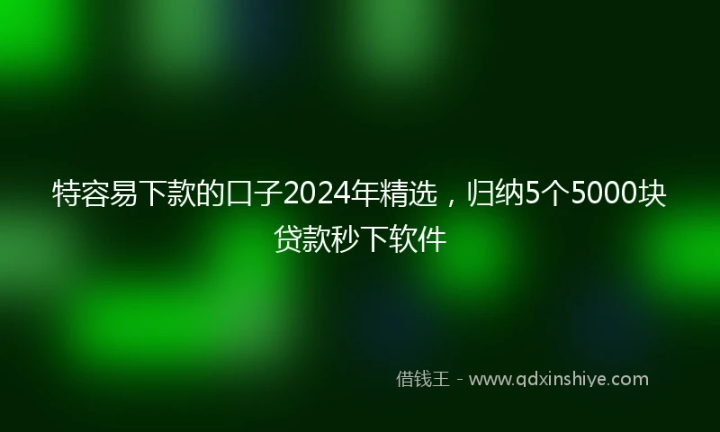 特容易下款的口子2024年精选，归纳5个5000块贷款秒下软件