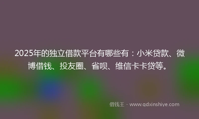 2025年的独立借款平台有哪些有：小米贷款、微博借钱、投友圈、省呗、维信卡卡贷等。