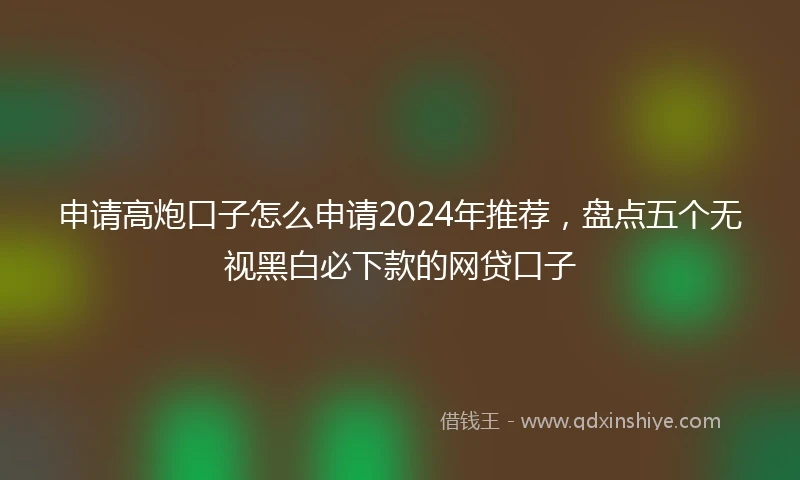 申请高炮口子怎么申请2024年推荐，盘点五个无视黑白必下款的网贷口子