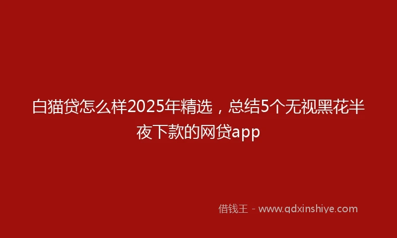 白猫贷怎么样2025年精选，总结5个无视黑花半夜下款的网贷app