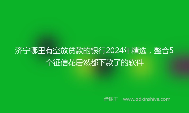 济宁哪里有空放贷款的银行2024年精选，整合5个征信花居然都下款了的软件