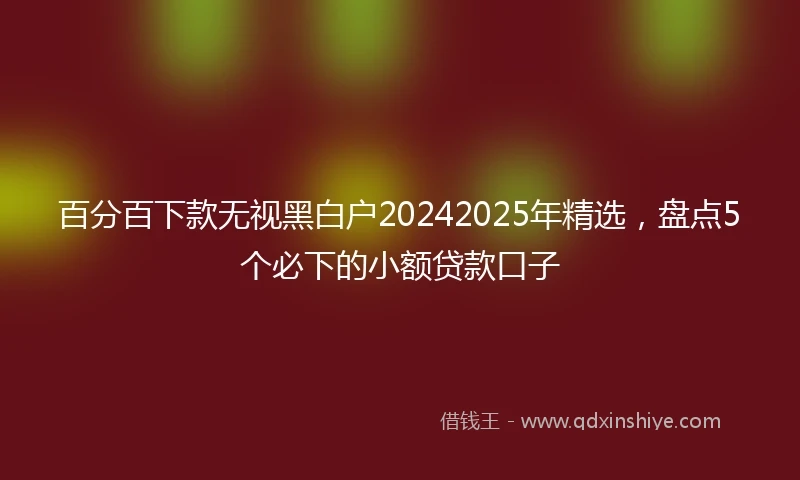 百分百下款无视黑白户20242025年精选，盘点5个必下的小额贷款口子