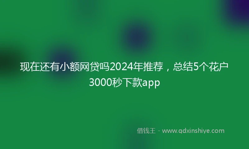 现在还有小额网贷吗2024年推荐，总结5个花户3000秒下款app