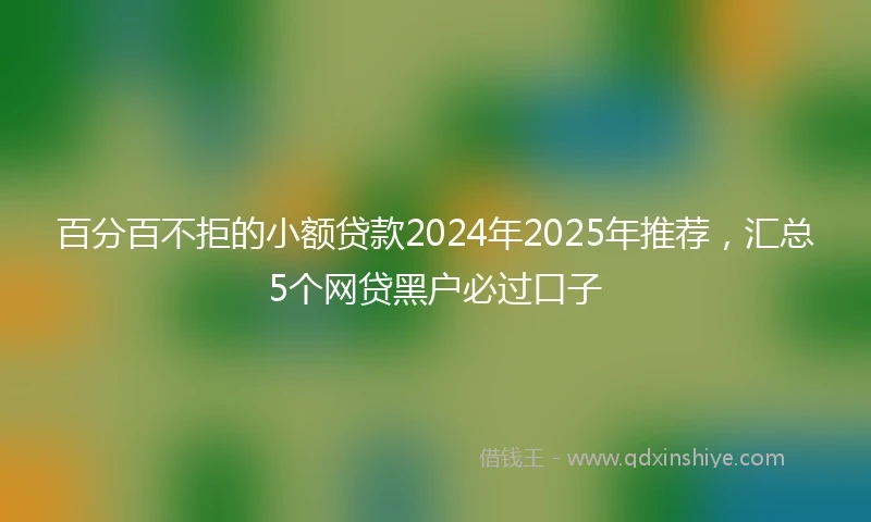 百分百不拒的小额贷款2024年2025年推荐，汇总5个网贷黑户必过口子