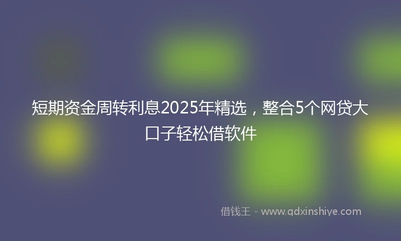 短期资金周转利息2025年精选，整合5个网贷大口子轻松借软件