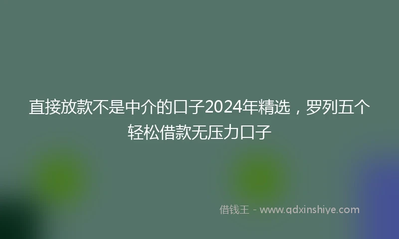 直接放款不是中介的口子2024年精选，罗列五个轻松借款无压力口子
