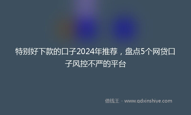 特别好下款的口子2024年推荐，盘点5个网贷口子风控不严的平台