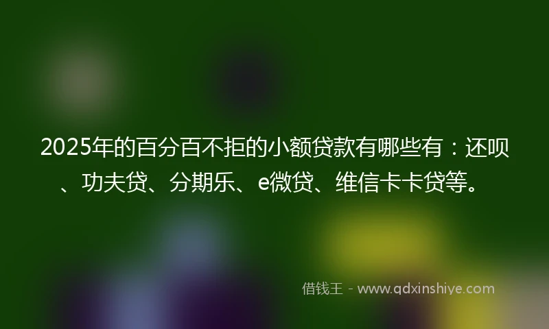 2025年的百分百不拒的小额贷款有哪些有：还呗、功夫贷、分期乐、e微贷、维信卡卡贷等。