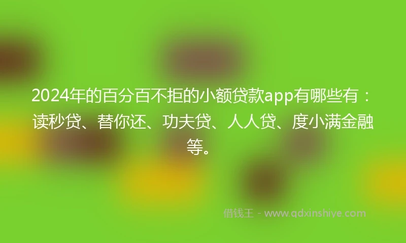 2024年的百分百不拒的小额贷款app有哪些有：读秒贷、替你还、功夫贷、人人贷、度小满金融等。
