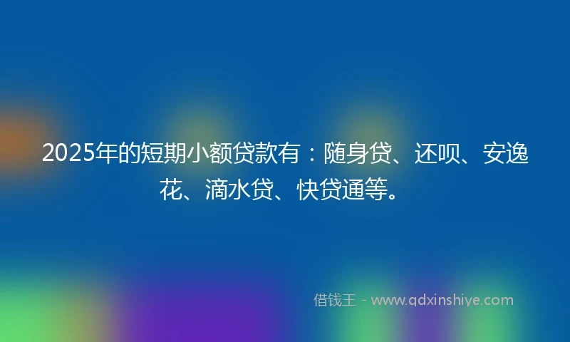 2025年的短期小额贷款有：随身贷、还呗、安逸花、滴水贷、快贷通等。