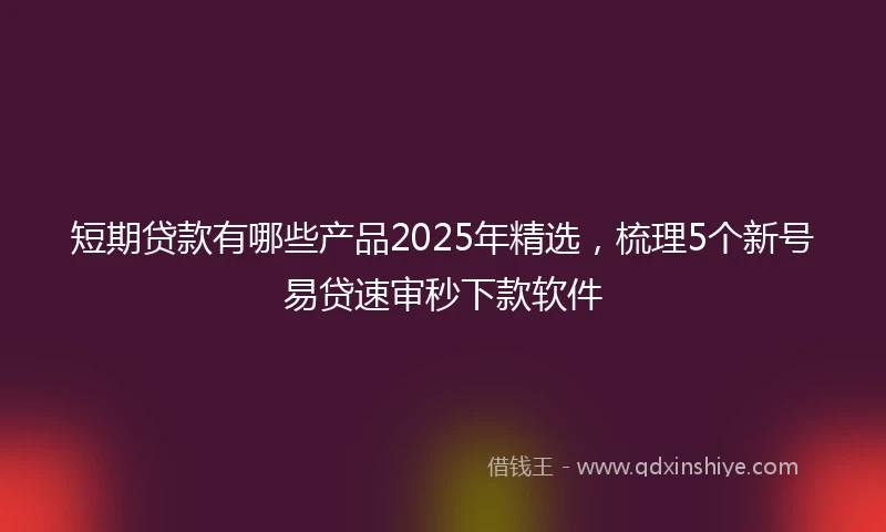 短期贷款有哪些产品2025年精选，梳理5个新号易贷速审秒下款软件