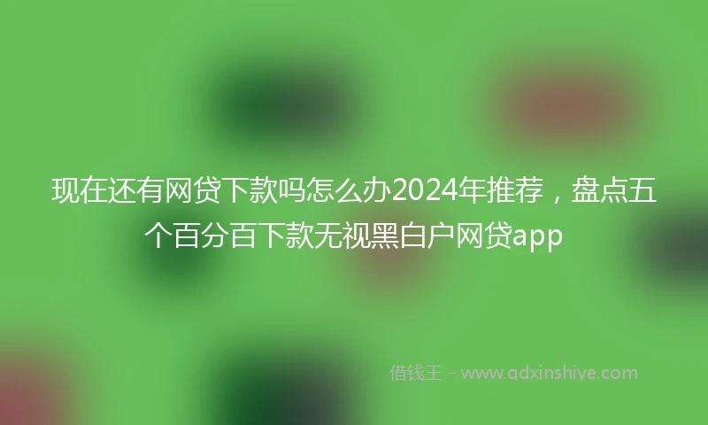 现在还有网贷下款吗怎么办2024年推荐，盘点五个百分百下款无视黑白户网贷app