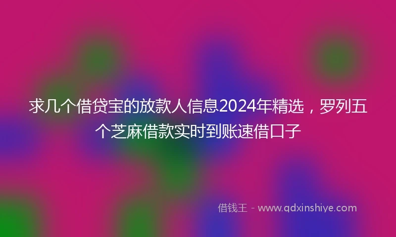 求几个借贷宝的放款人信息2024年精选，罗列五个芝麻借款实时到账速借口子
