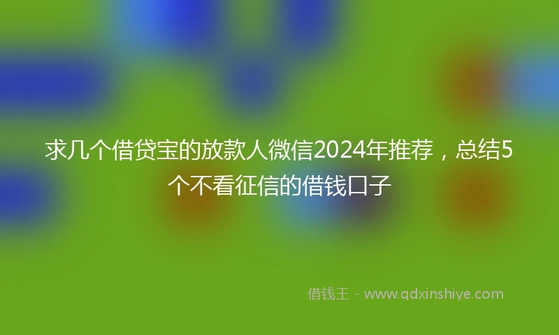 求几个借贷宝的放款人微信2024年推荐，总结5个不看征信的借钱口子