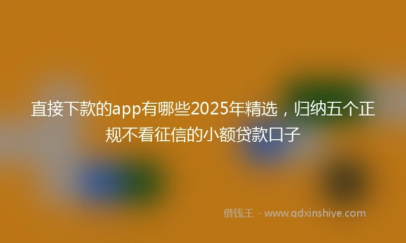 直接下款的app有哪些2025年精选，归纳五个正规不看征信的小额贷款口子